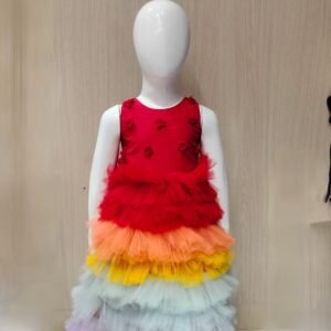 FROCK PARTY WEAR (NET)