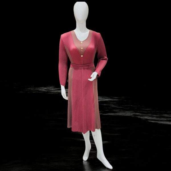 WESTERN FROCK