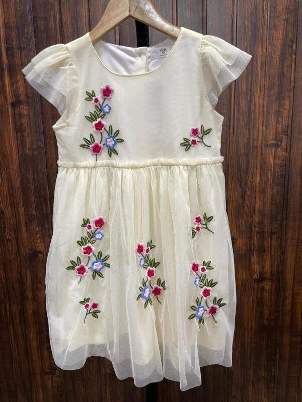 Charming Floral Embroidered Cream Dress with Sheer Sleeves for Girls