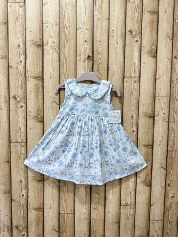 Charming Light Blue Floral Sleeveless Dress with Peter Pan Collar for Girls