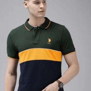 Men Colorblock Polo Neck Pure Cotton Light Green T-Shirt