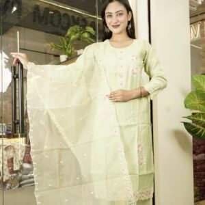 light green ethnic Indian suit 